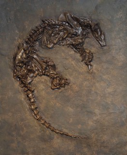Anteater fossil, Mine Messel, Hesse, Germany (Eurotamandua joresi), UNESCO World Heritage natural
