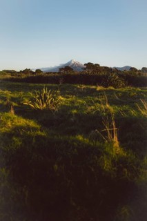 A green hilly landscape under a clear blue sky with a mountain peak in the background creating a
