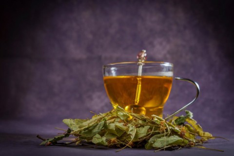 Glass cup with an infusion of lime blossom tea with fresh leaves around it