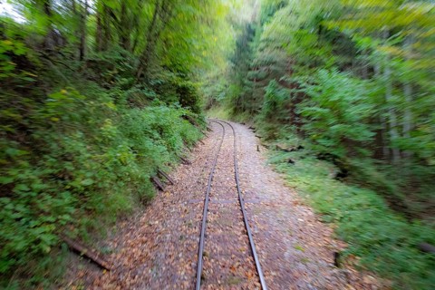 Tracks of the Ybbstal railway, Gaming, Ötscherland, Lower Austria, Austria, Europe