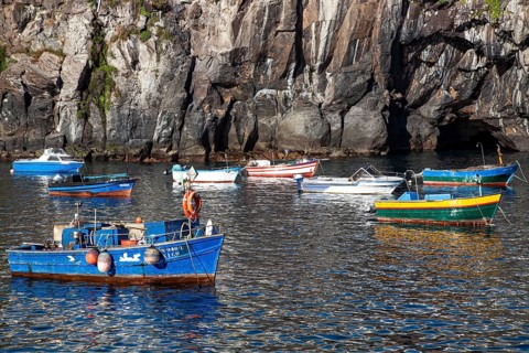 Câmara de Lobos, colorful fishing boats in the harbour, old fishing village, south coast, Madeira,