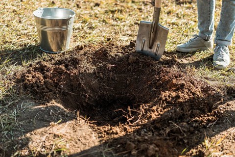 Man digging hole with shovel plant tree