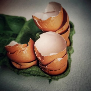 Egg shells