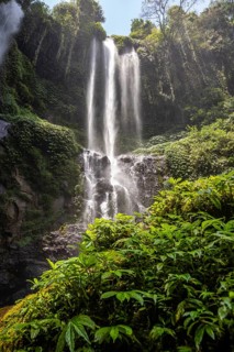 The Sekumpul waterfall, a large waterfall in the middle of the jungle that plunges into a deep