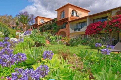 Lilies of the nile (Agapanthus) Bouganvillia, park, Hotel Quinta Splendida, Caniço, Madeira