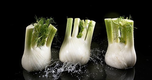 Fennel (foeniculum vulgare), Vegetable falling into Water against Black Background
