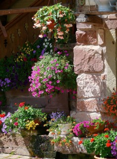 Poppeltal, Enzklösterle, Black Forest, Poppelhof, hanging baskets