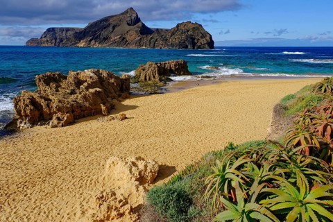 Beach, sand, sea, waves, rocks, aloes, south coast, Calheta, Atlantic Ocean, Porto Santo, Madeira