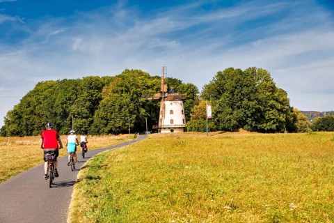 Bicycle tour along the Elbe between Dresden and Meißen, Saxony, Germany, Europe