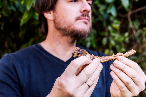 Close up man eating meat