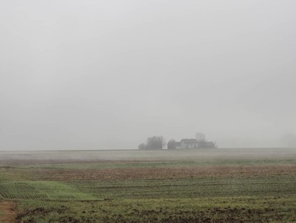 Lonely homestead in the morning mist, Zelting near Bad Radkersburg, Styria, Austria, Europe