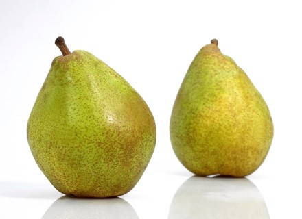 Culture pear, pear, pears (pyrus), rose family, comice pear communiss against white background