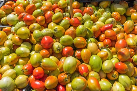 Red and green egg tomatoes at a market in Palermo, Sicily