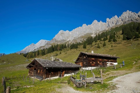 Alpine pasture near the Arthurhaus in Mühlbach in front of the Mandlwänden of the Hochkönig in