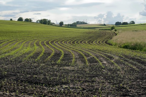 Agriculture area near Ilmried, spring, May, agriculture, field, farming, acre, Pfaffenhofen an der