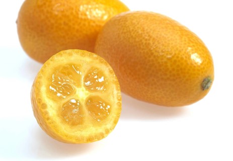 Kumquat (fortunella margarita), Fruit against White Background