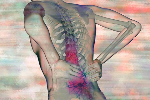 Back pain is a common condition and is particularly caused by sedentary behaviour