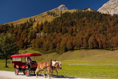 Haflinger team in front of carriage, Eng, Hinterriss, Karwendel valley, Bavaria, Haflinger,