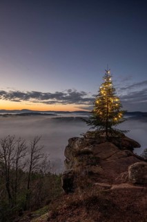 Exhilarating sunrise at the Wachtfelsen. Magical morning mist, clouds and a Christmas tree in the