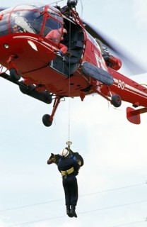 German Shepherd Dog at a Disaster Dog Training Course