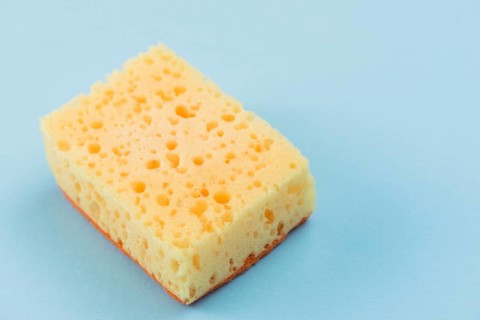 Sponge. High resolution photo