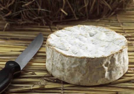 CAMEMBERT CHEESE