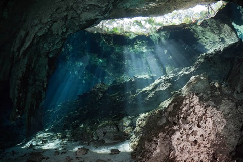 Gran Cenote underwater cave, Yucatan Peninsula, underwater cave, Mexico, Central America