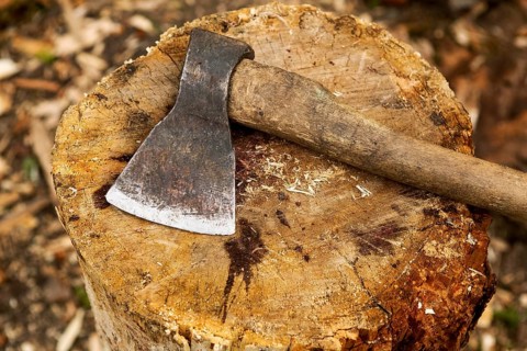 Close up wood chopping axe. Beautiful photo