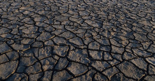 Drought in the Marshes of Camargue, Les Saintes Maries de la Mer, in the South East of France