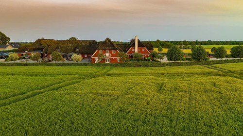 Aerial view, Denmark, Region Syddanmark, Christiansfeld, Agriculture and farms with grain and rape