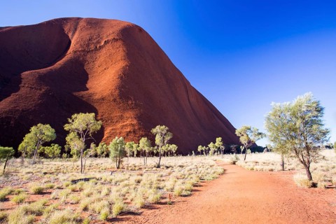 The southern face of Uluru on the Kuniya walk on a clear winter#39, s afternoon in the Northern
