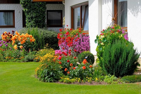 Baden-Württemberg, Black Forest house with flower garden in summer, different summer flowers in the