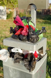 Excrement bag, waste bin, dog excrement, Schwäbisch Hall, Hohenlohe, Kochertal, Heilbronn-Franken,