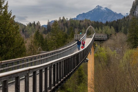 A family is enjoying the views from a treetop walk in Ziegelwies, a town near the border between