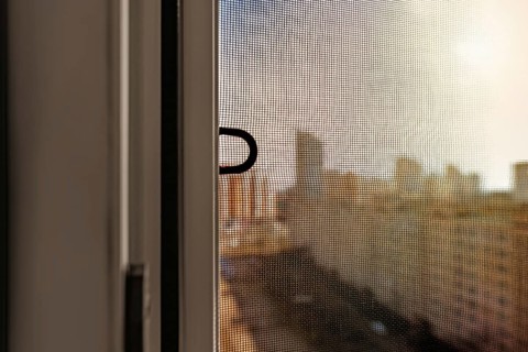 Open window with a mosquito screen to prevent insects and bugs, like flies, bees, mosquitoes or