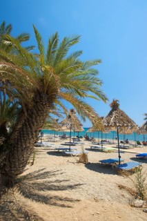 Palm Beach Vai, Crete, Greece, Europe