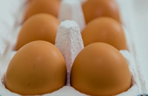 Closeup of brown eggs in white carton