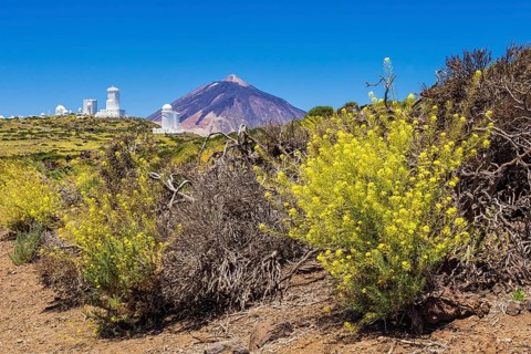 The Teide volcano on Tenerife