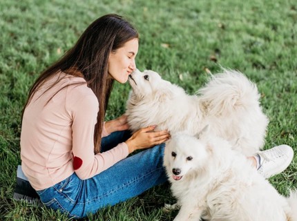 Woman happy play with cute dogs