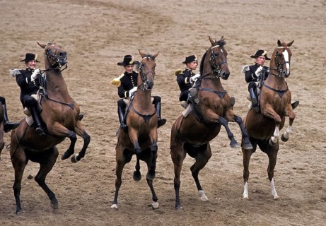 The Cadre Noir, an Equestrian Display Team based in the city of Saumur in western France