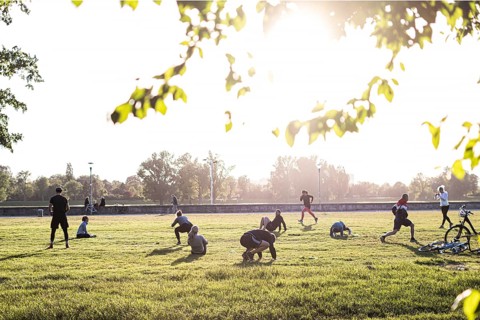 Park, Meadow, Sport, Sunshine, People, Düsseldorf, Fitness, Spring, Training, Health