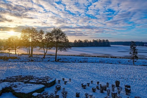 Sunrise in winter, pond, lake, trees, forest, long shadows, frozen, ice surface, mill pond, Wismar,