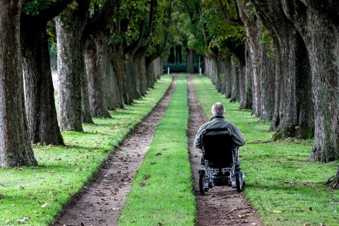 Wheelchair user in an avenue, Varel, district of Friesland, Lower Saxony