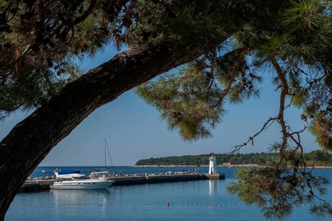 Novigrad