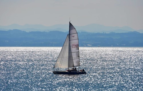 On Lake Constance, sailing boat in motion, view of the Alps