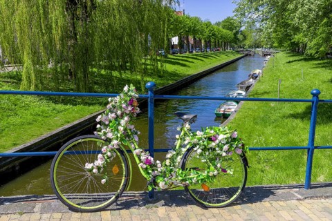 Decorated bicycle in Friedrichstadt Grachten, Friedrichstadt, North Frisia, Schleswig-Holstein,
