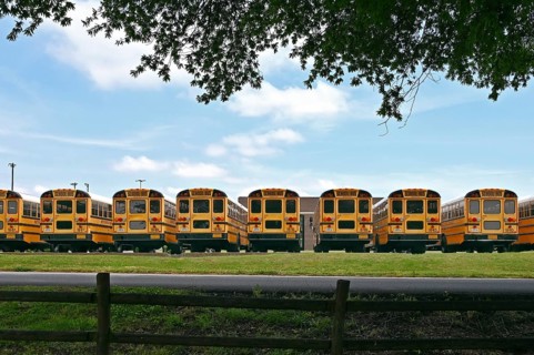 School buses in a car park, Nashville, Tennessee, United States of America