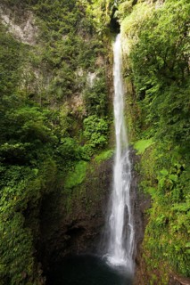 Middleham Falls Waterfall, Morne Trois Pitons National Park, Lesser Antilles, Leeward Islands,