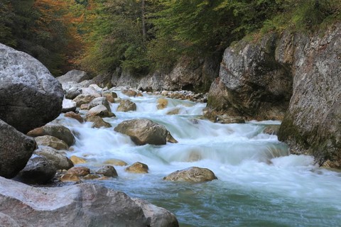 Autumn at Tiefenbachklamm or Tiefenbach Gorge, Tyrol, Austria, Europe