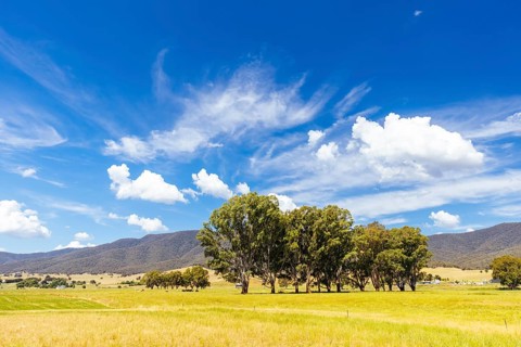 Landscape during summer around the Kiewa River at Keegans Bridge and Streamside Reserve in the